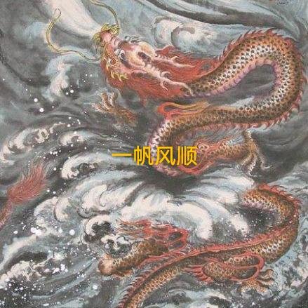 飞龙头像