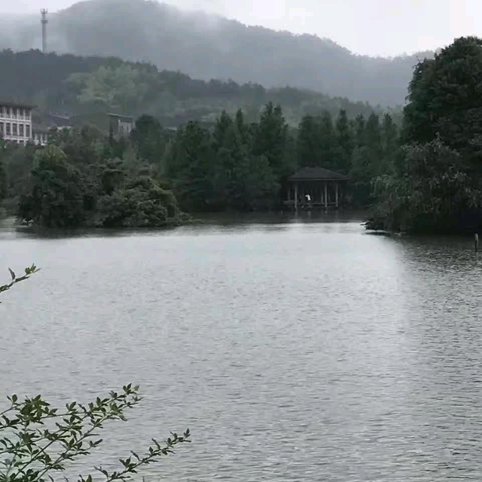苹