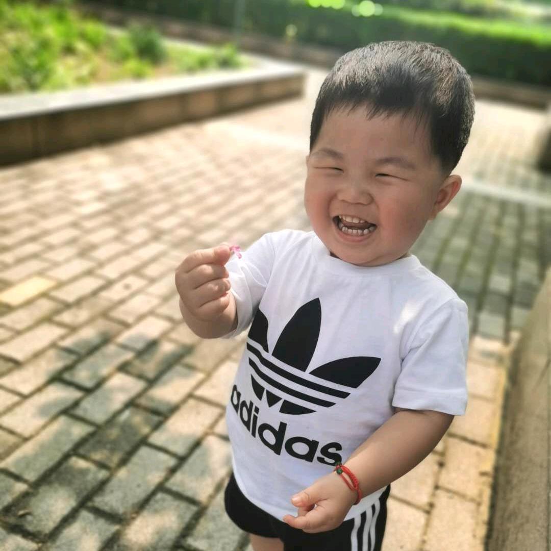 专业主体结构