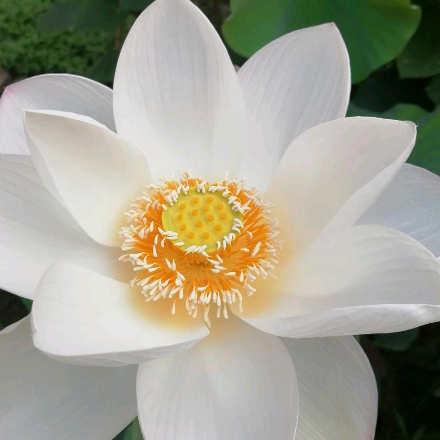 勇闯天涯