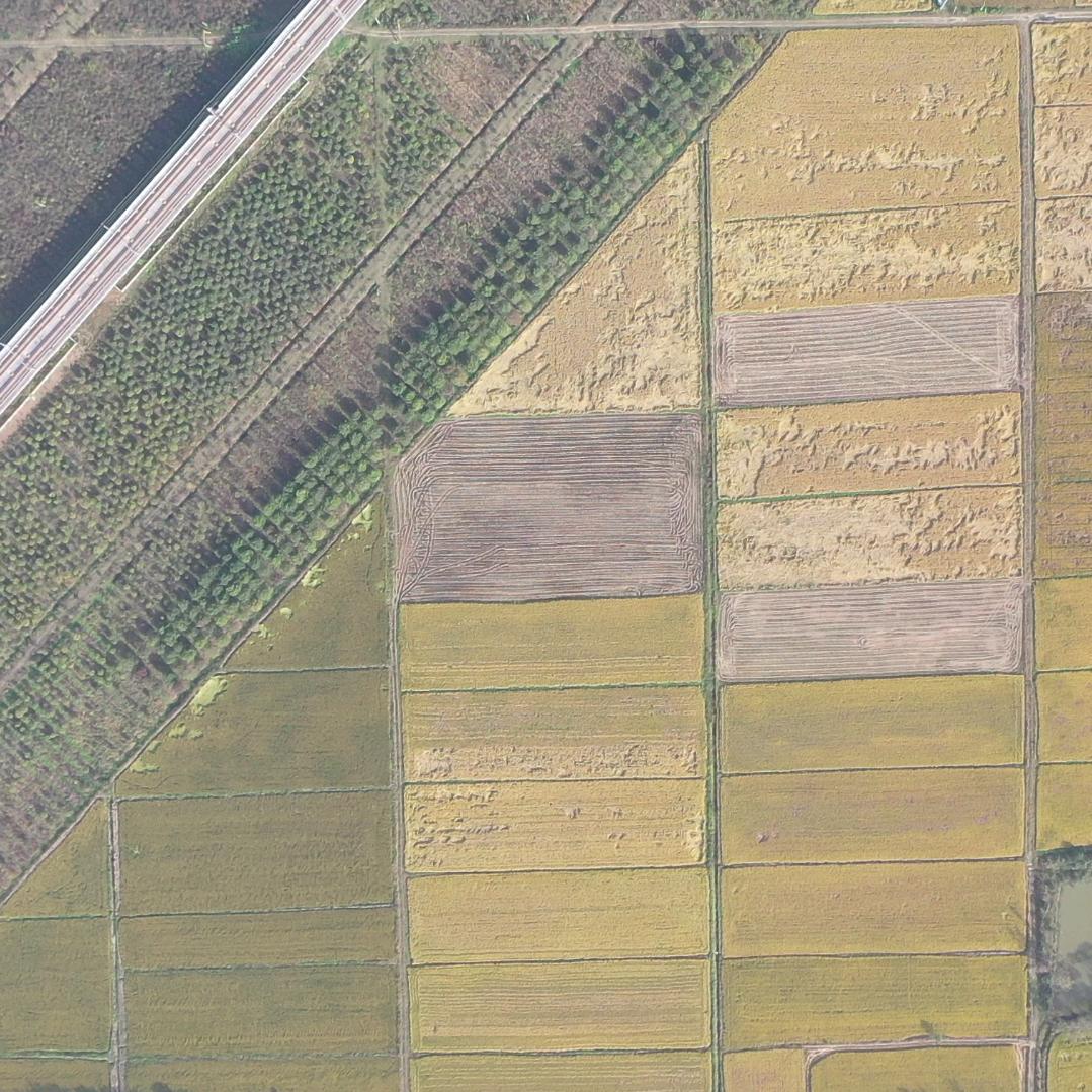 定远县秋禾粮油有限公司