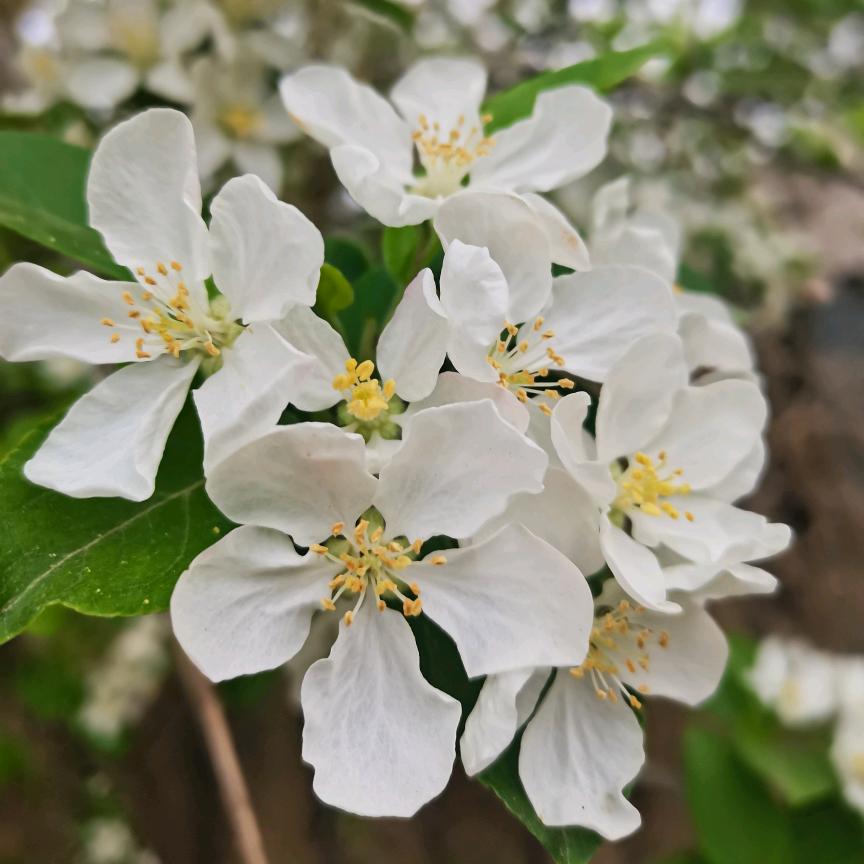 回忆未来！！！