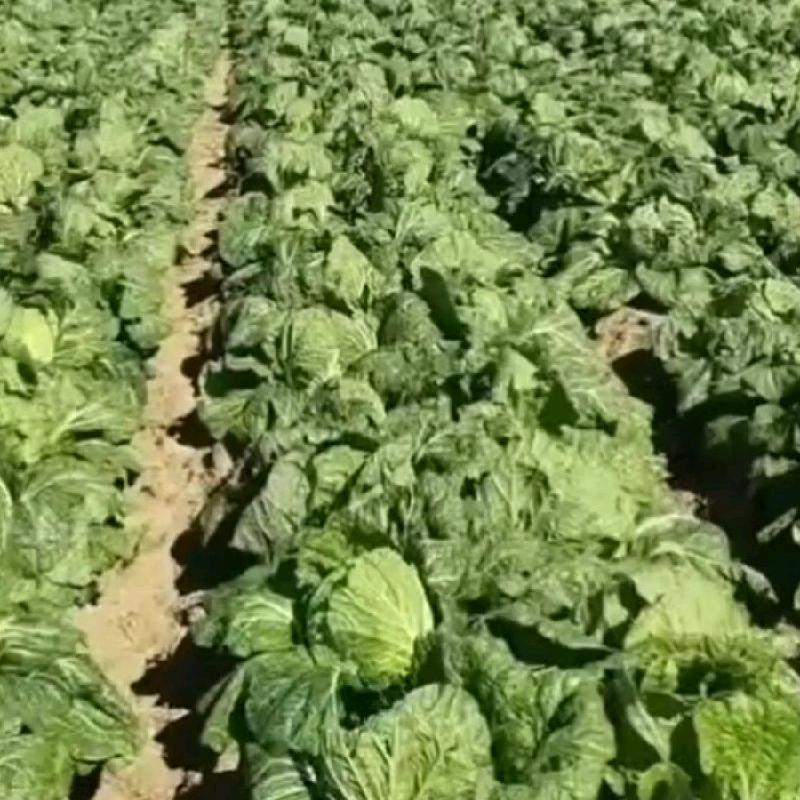 飞腾劳务常年招工