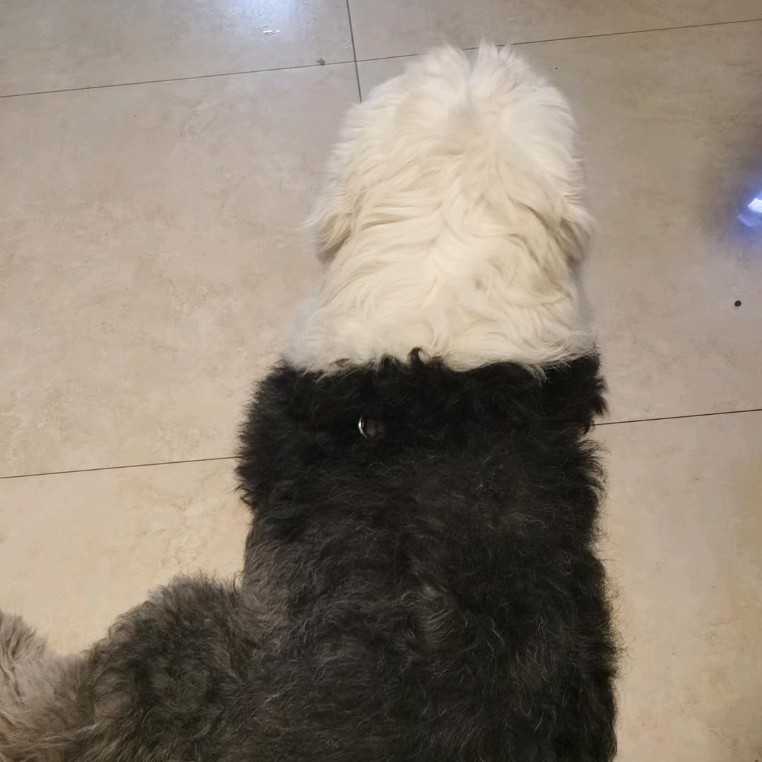 客家林姐在武汉