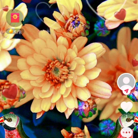 🥀微笑ꦿᩚ前行꧔ꦿᮨ໌꯭້🌸
