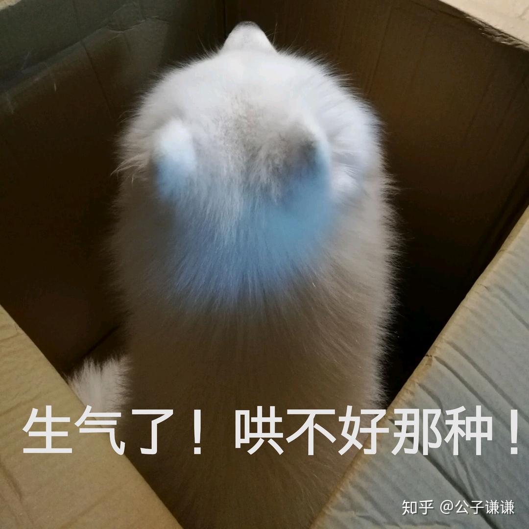 凨凪凬夙！