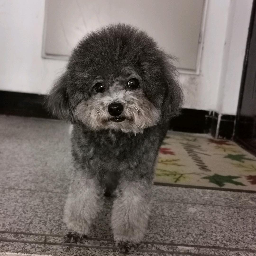 圆梦