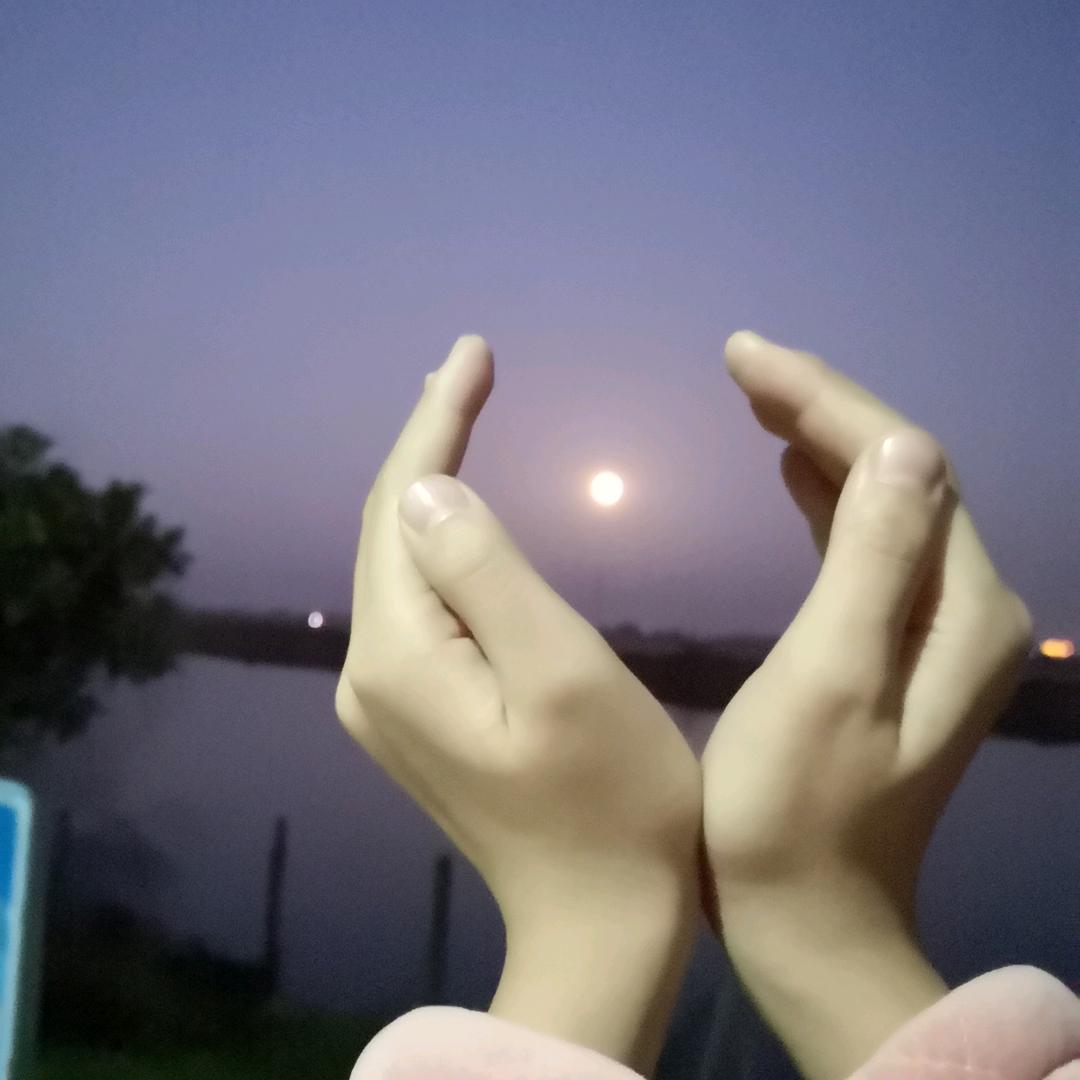 水中花