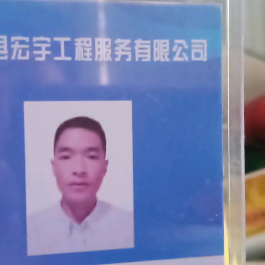 名杨天夏