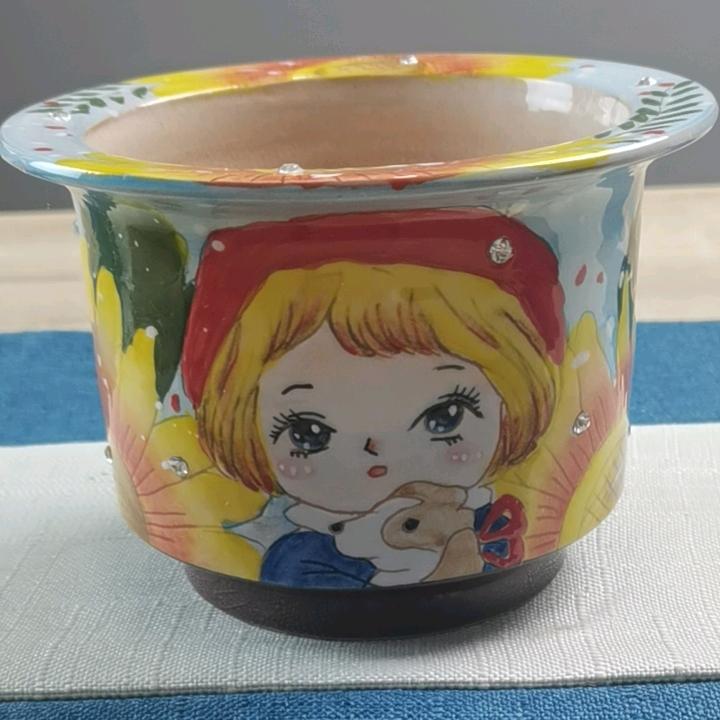 泰恒陶瓷小仙肉花盆