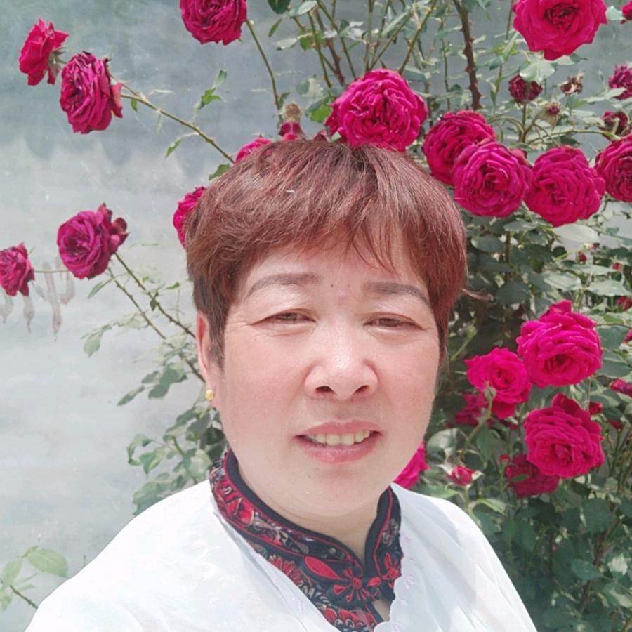 我是张五姐
