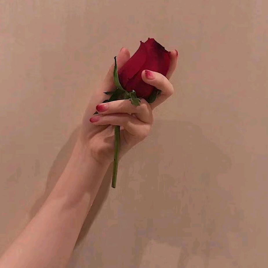 皮蛋瘦肉周