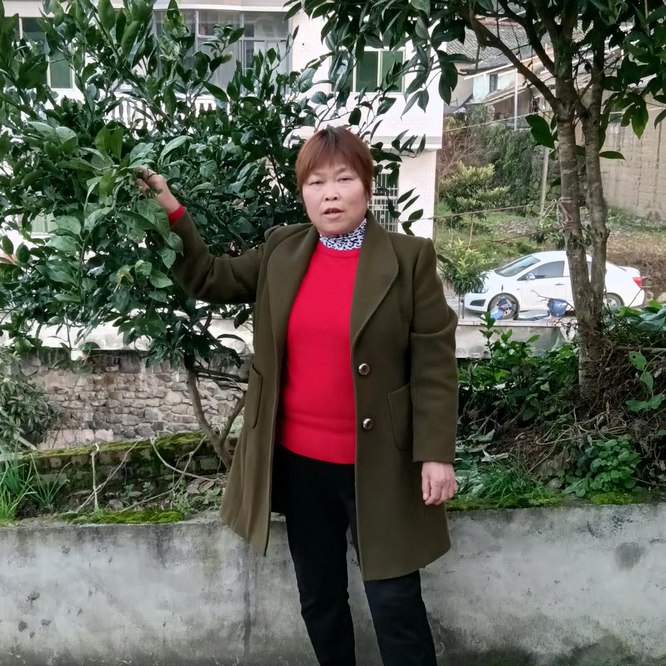 开 心 每 一 天