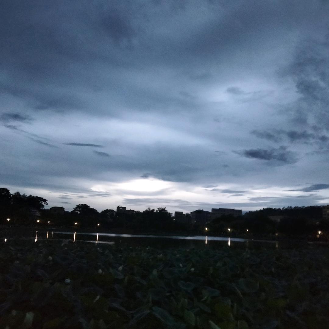 琴子