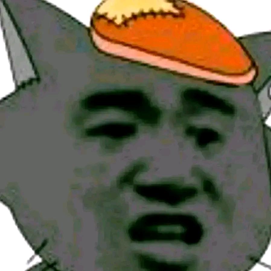 博学多才的灰太狼
