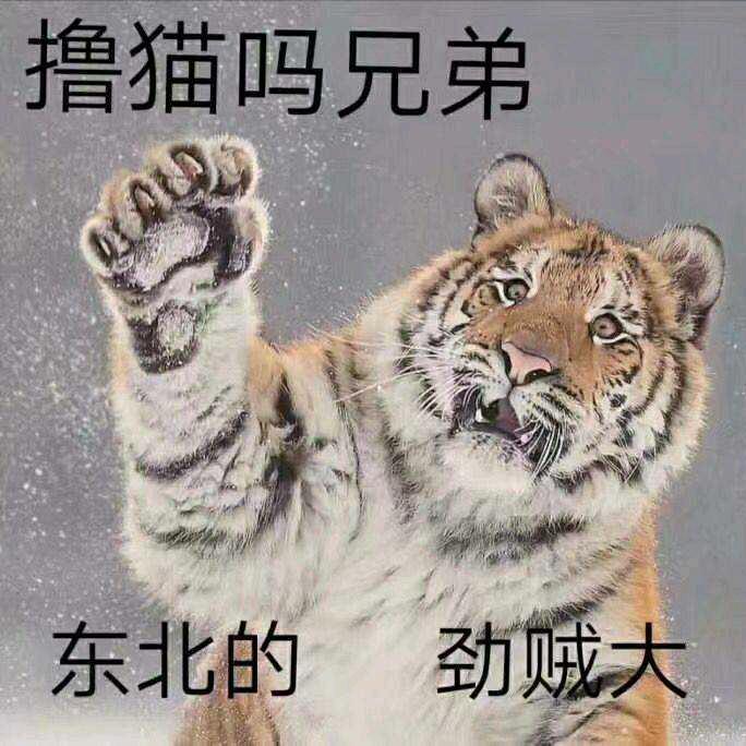 敷衍怪