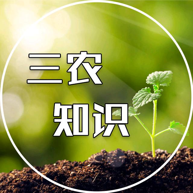 教你三农知识