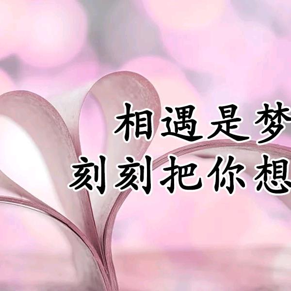 情场浪子