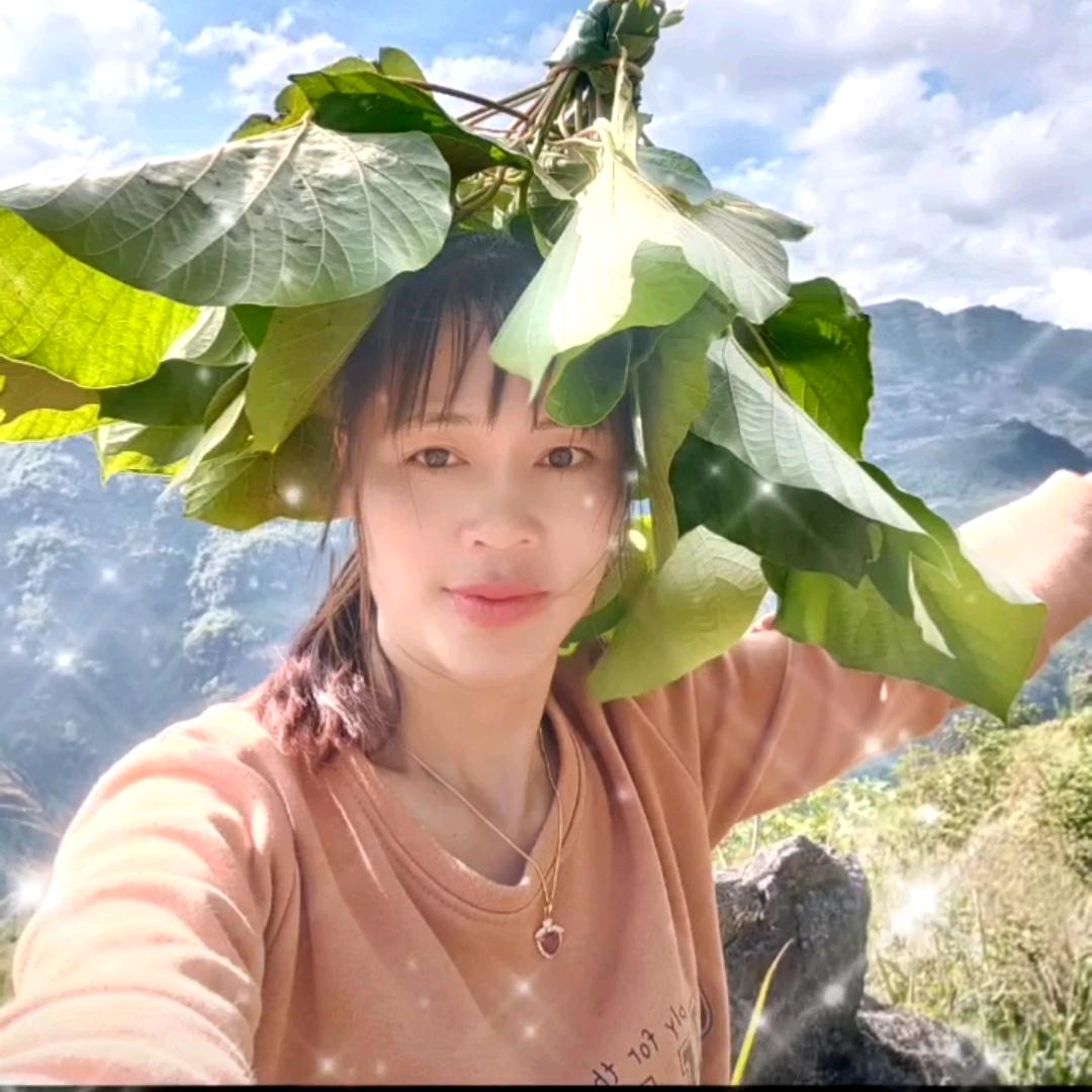 圆圆🌸