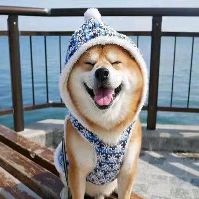 小白不小白