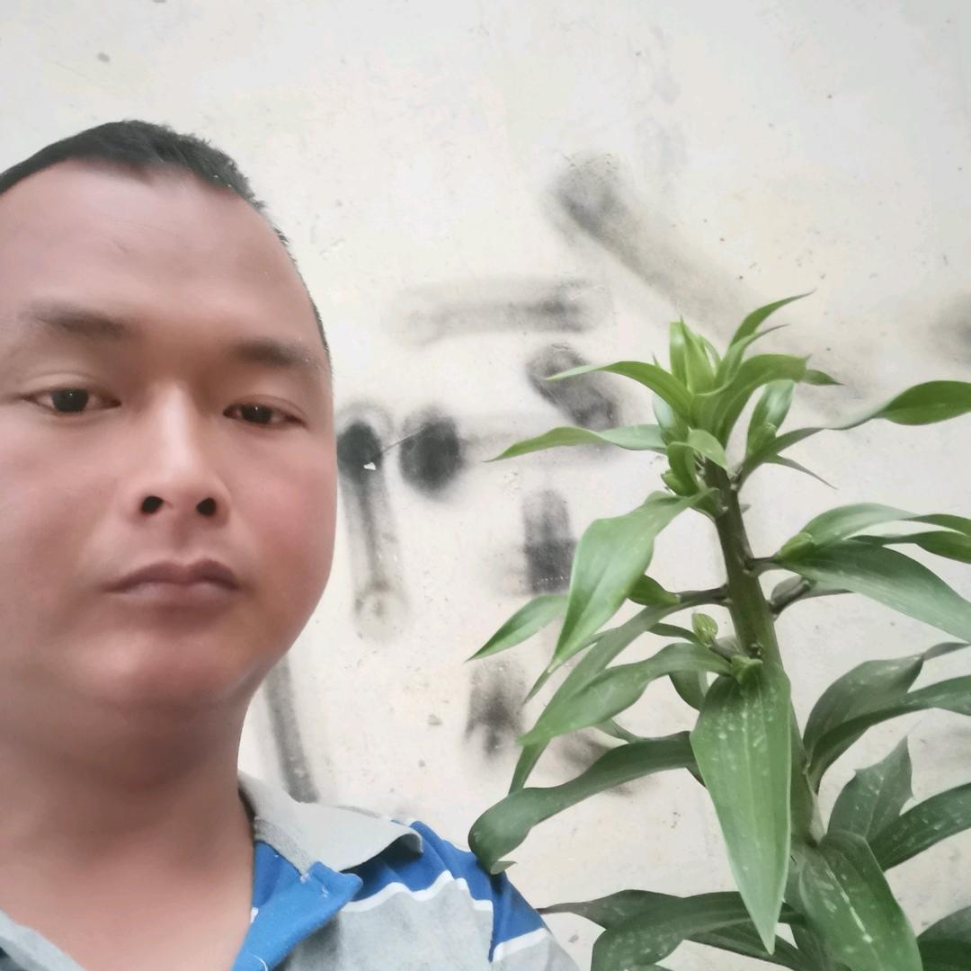 南阳小张