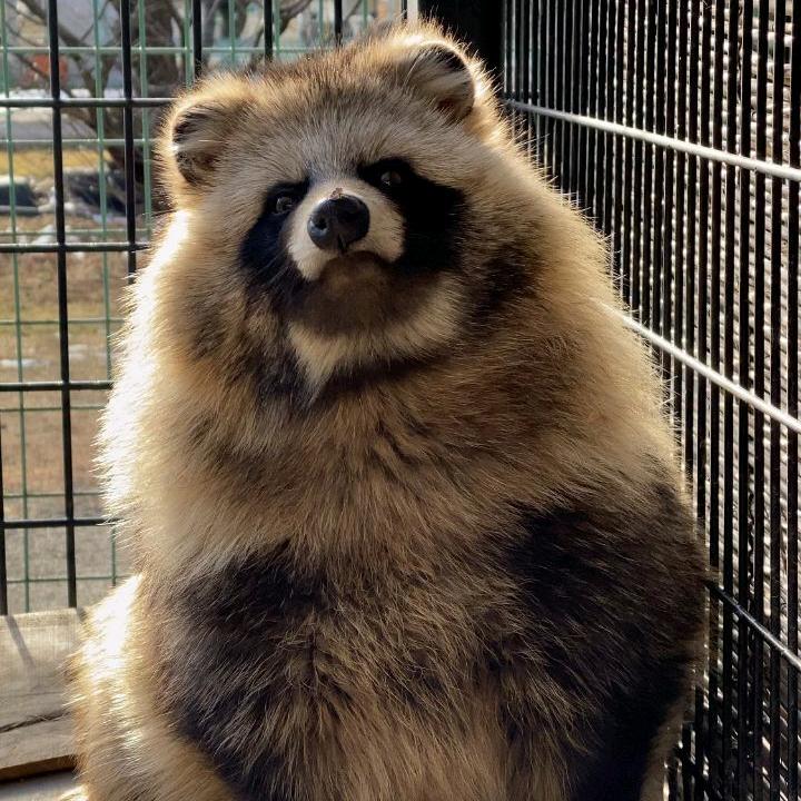 天宁大生煎头像
