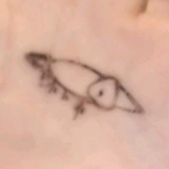 AAA河北土特产代购