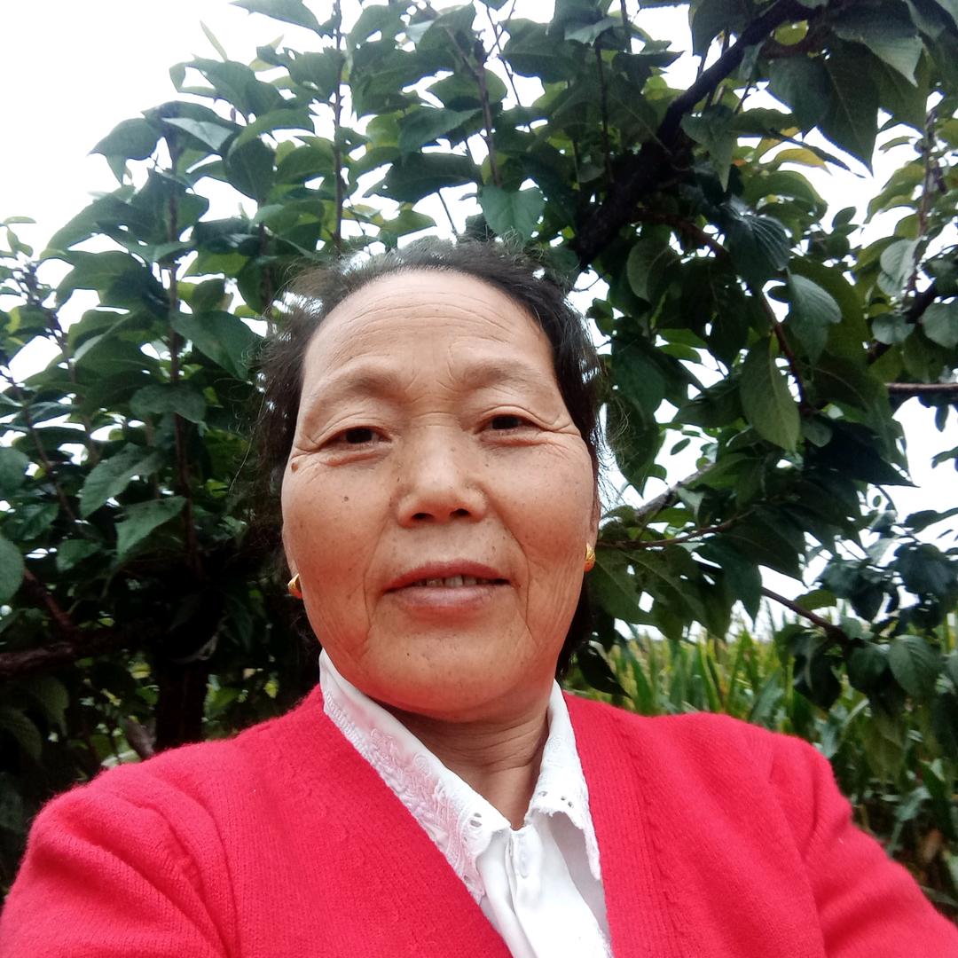 饼姐姐（聚散家）