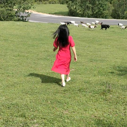 ꧁云胡不喜໊ོﻬ°ℒℴѵℯ