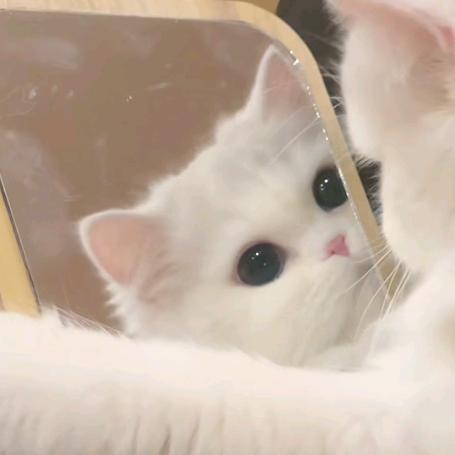 棉花糖