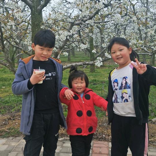 小小丹的碎碎念