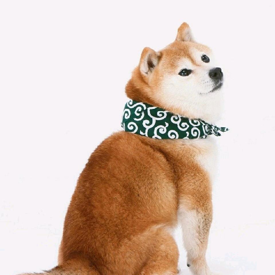 孙江涛