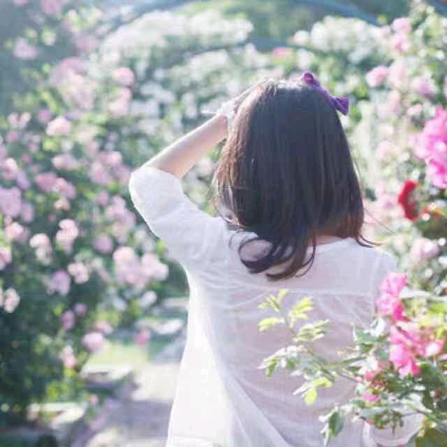 轻叩心扉头像