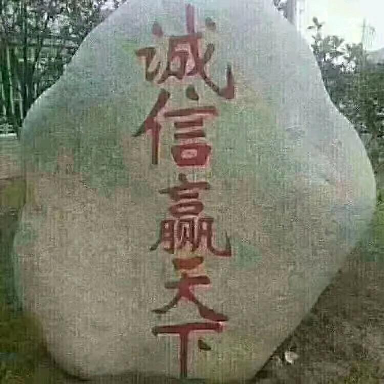 手机用户会飞的翅膀