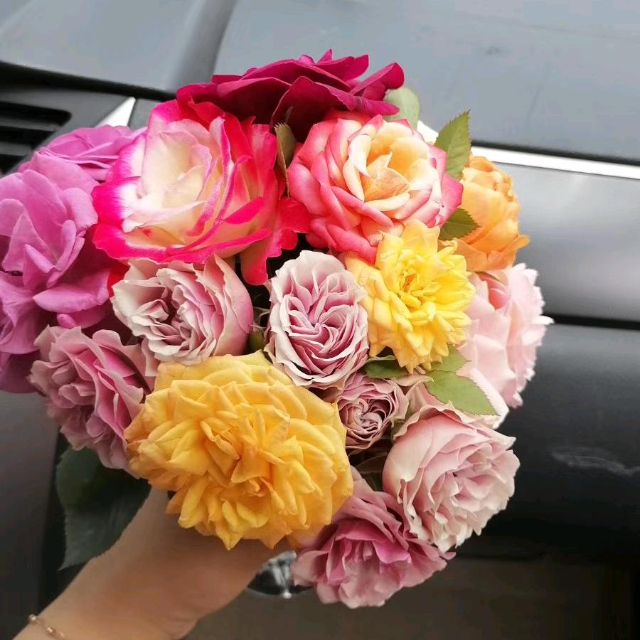 知进小当家_朱朱⁹⁸⁵