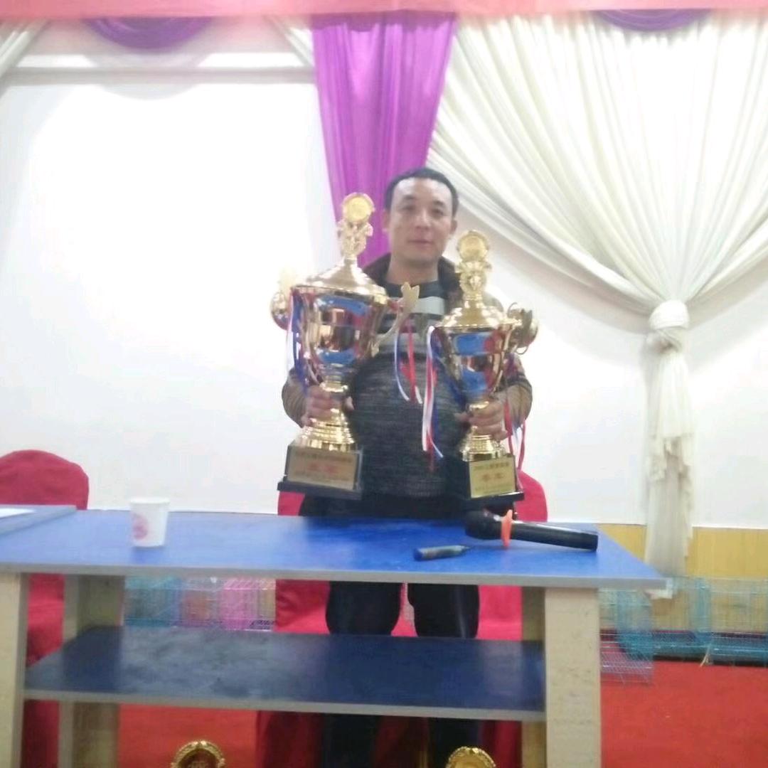 与世无争渡人生