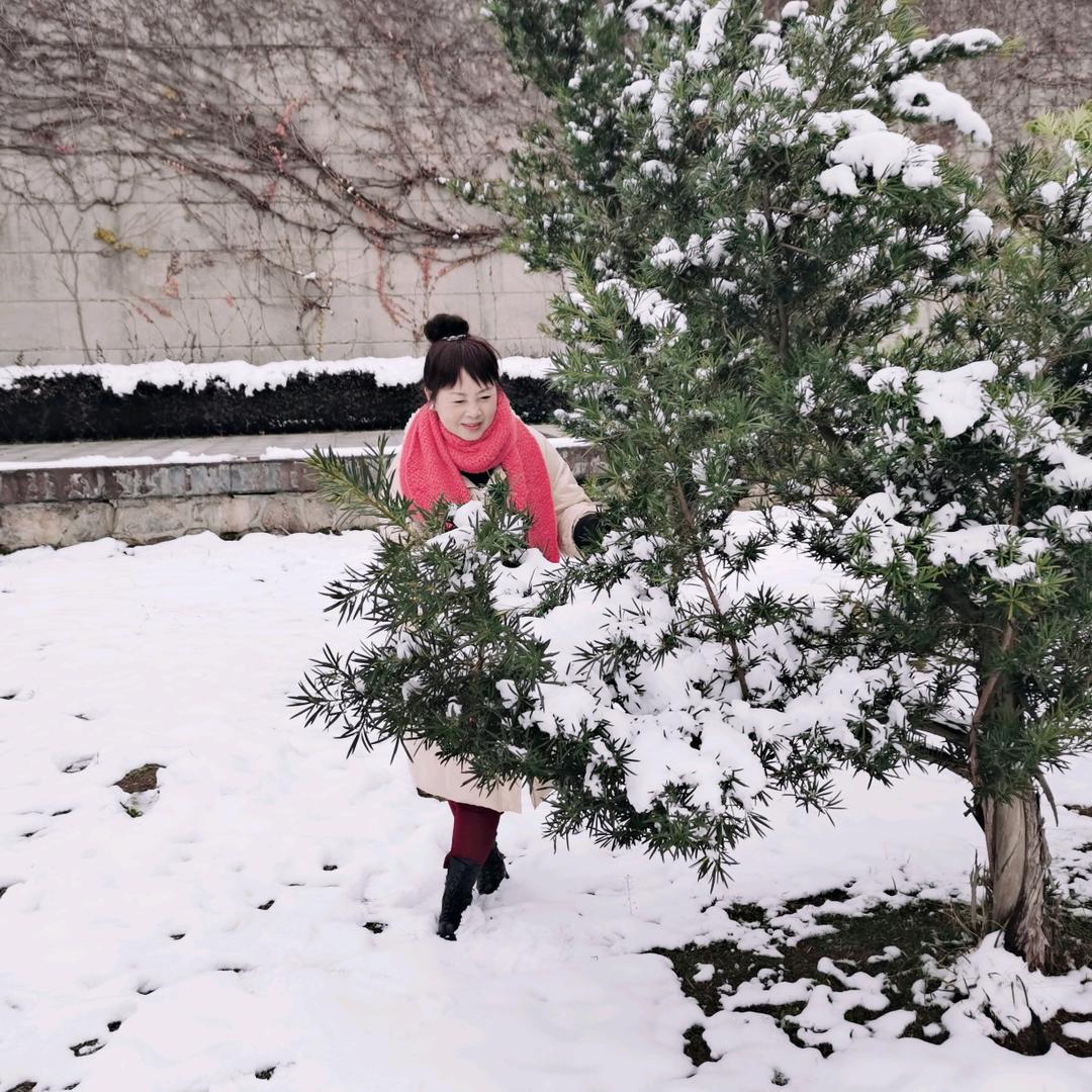 叶子（花红绿叶）
