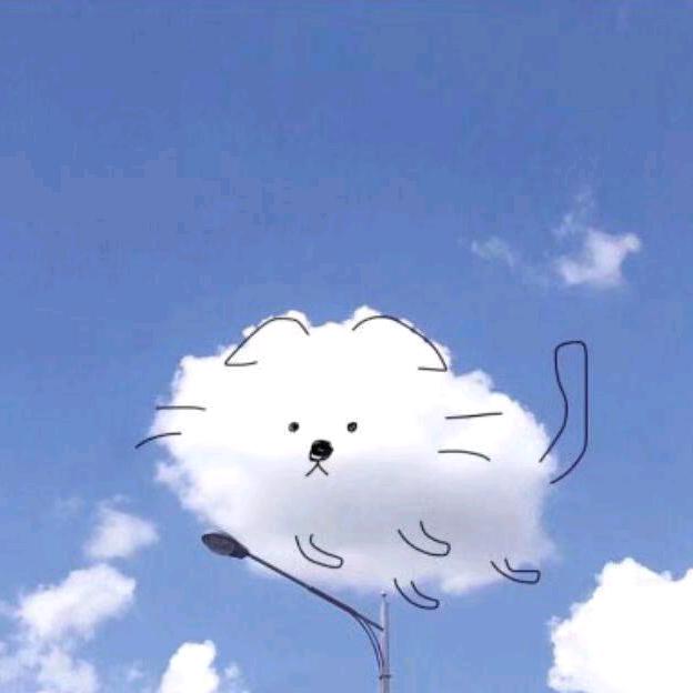 卫安清