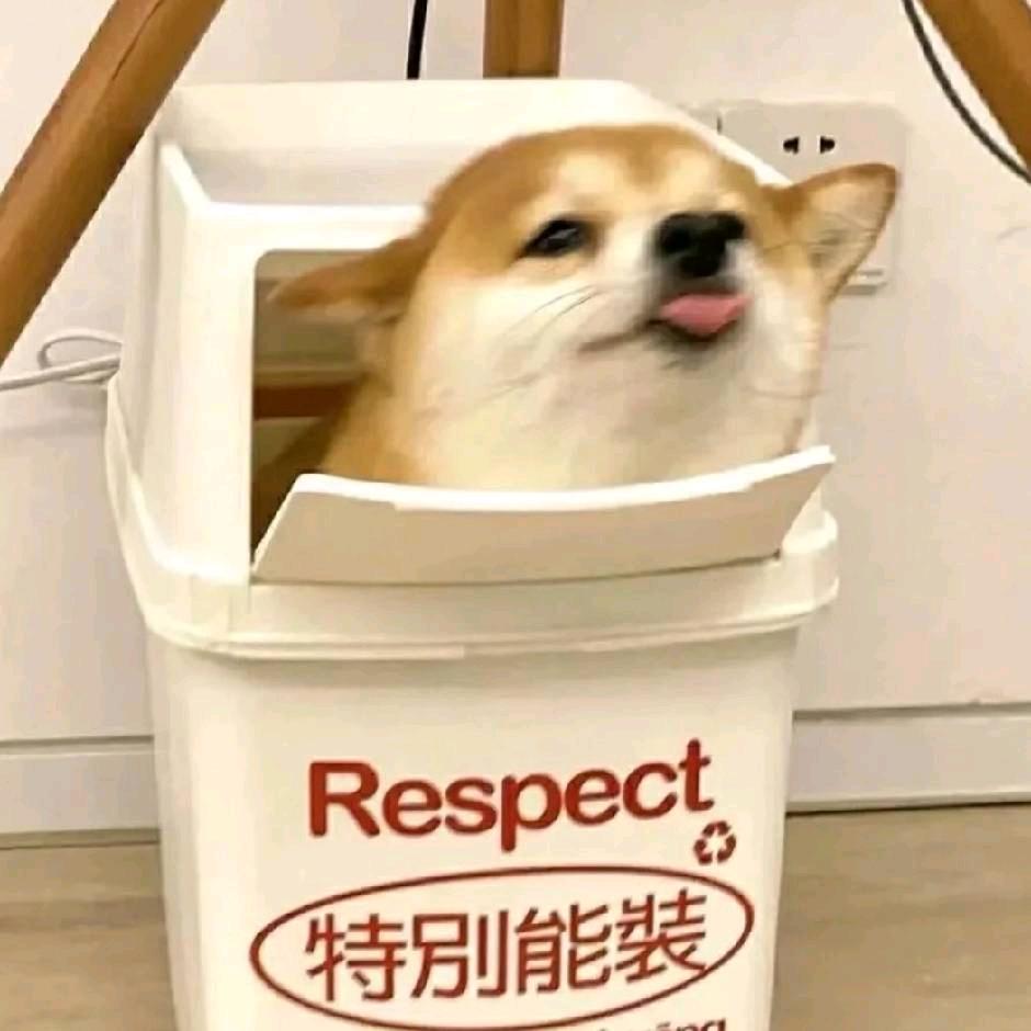 一条咸鱼.