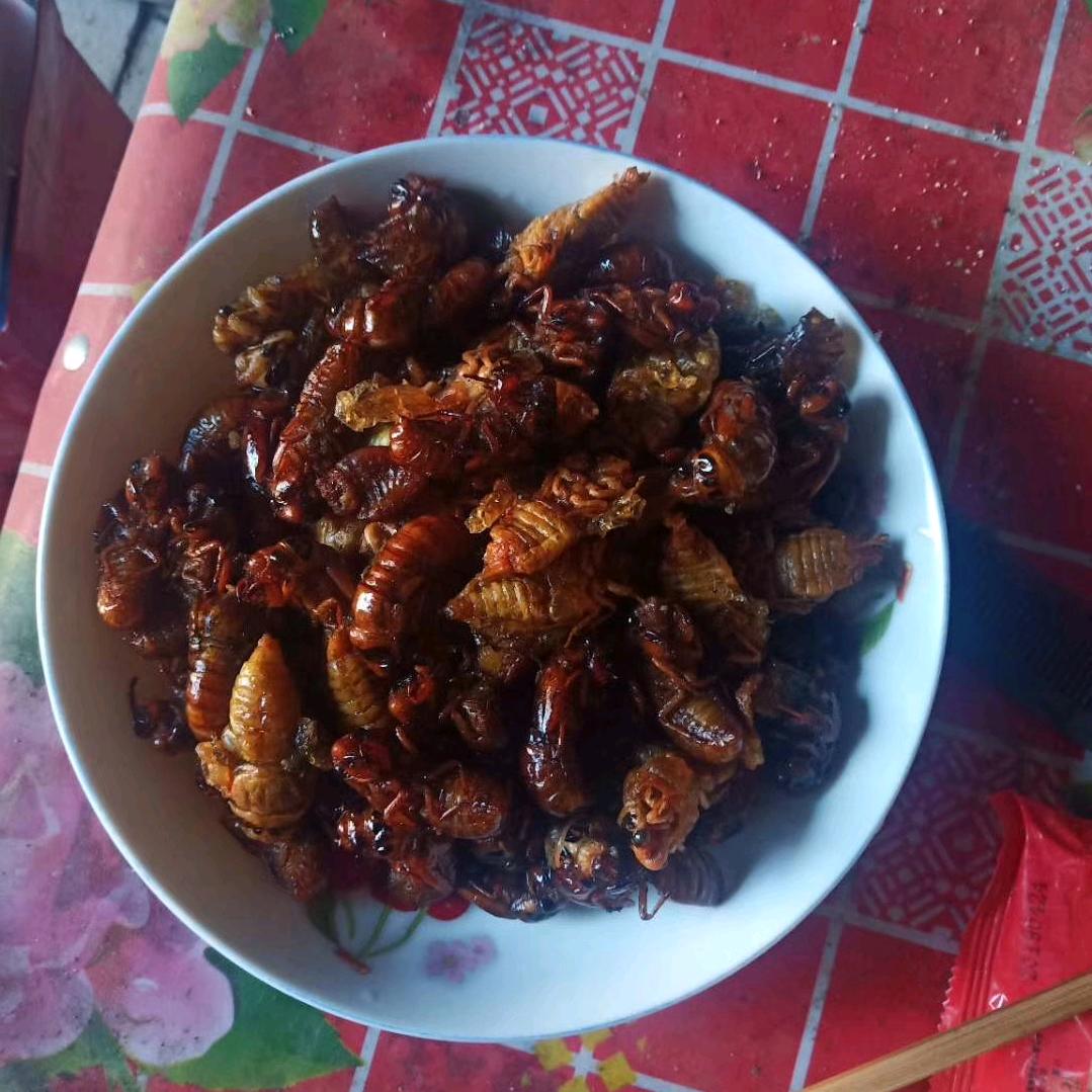 张志海，保定废品回收站