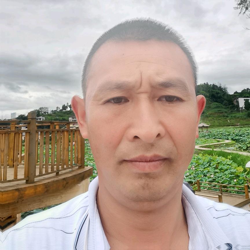 阳光手抓饼