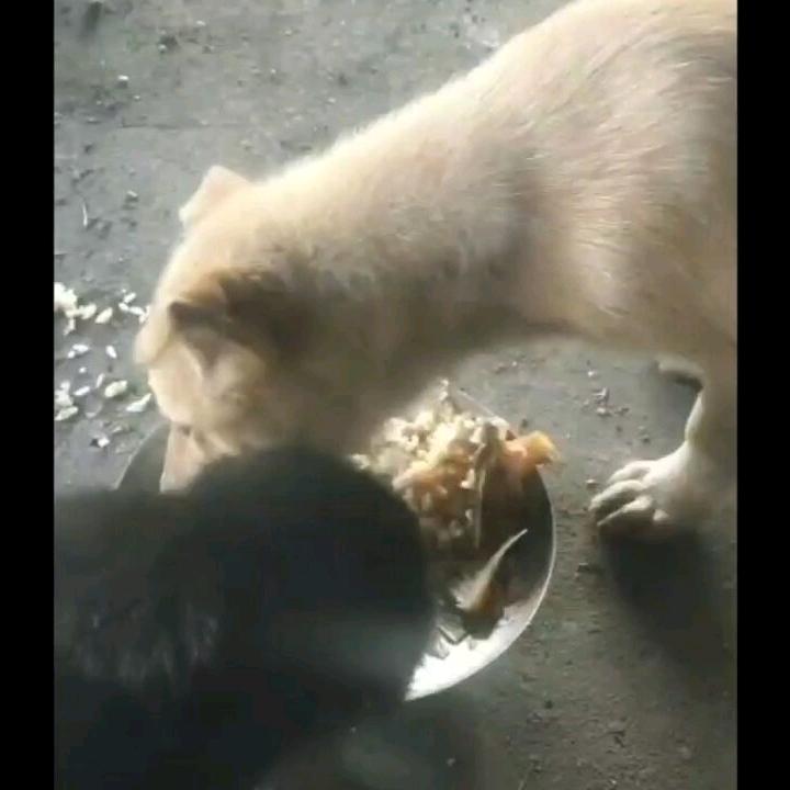 💔💔封心锁爱💔💔（鬼门团）