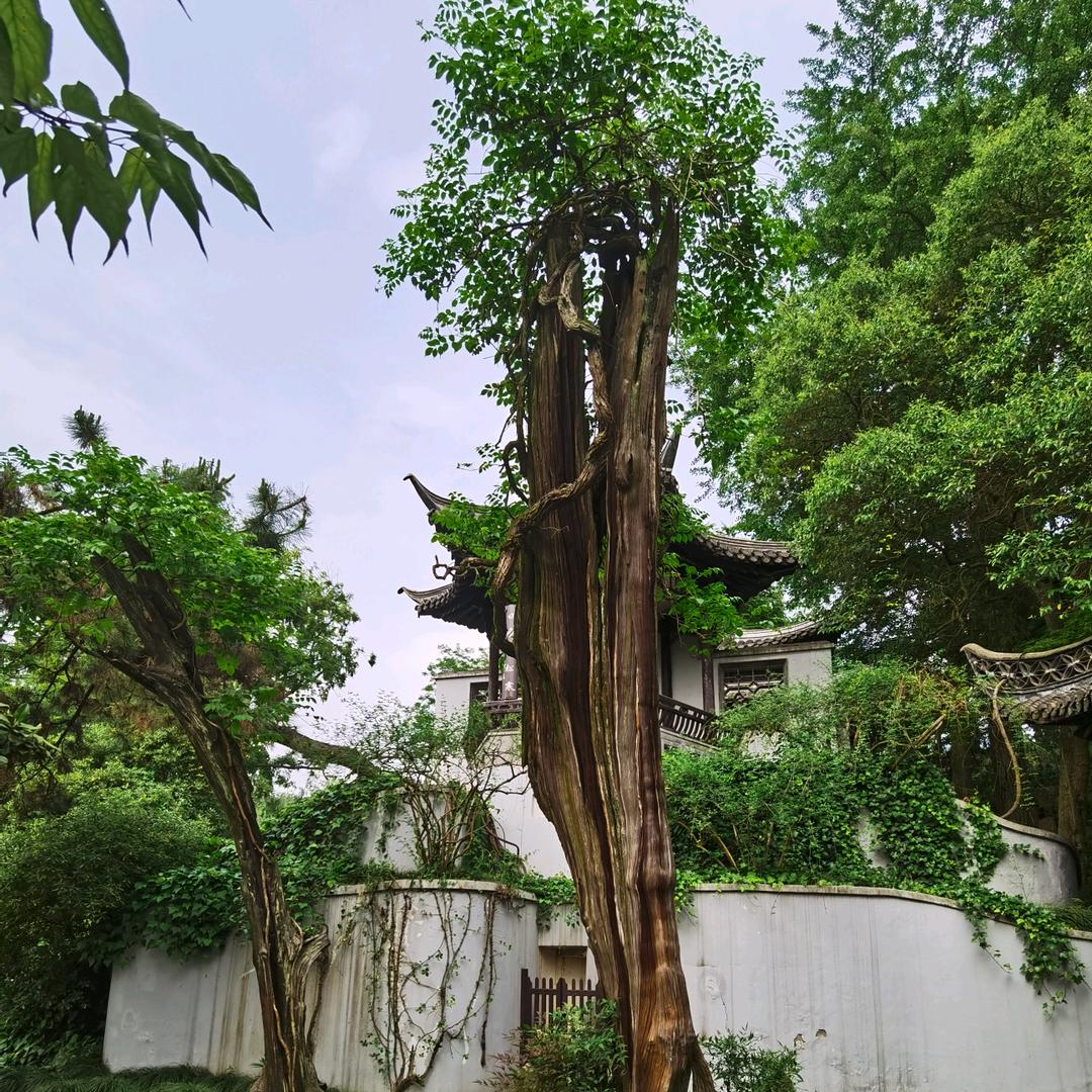 福蛋儿～