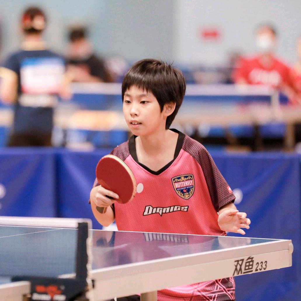 鑫巍乒乓球
