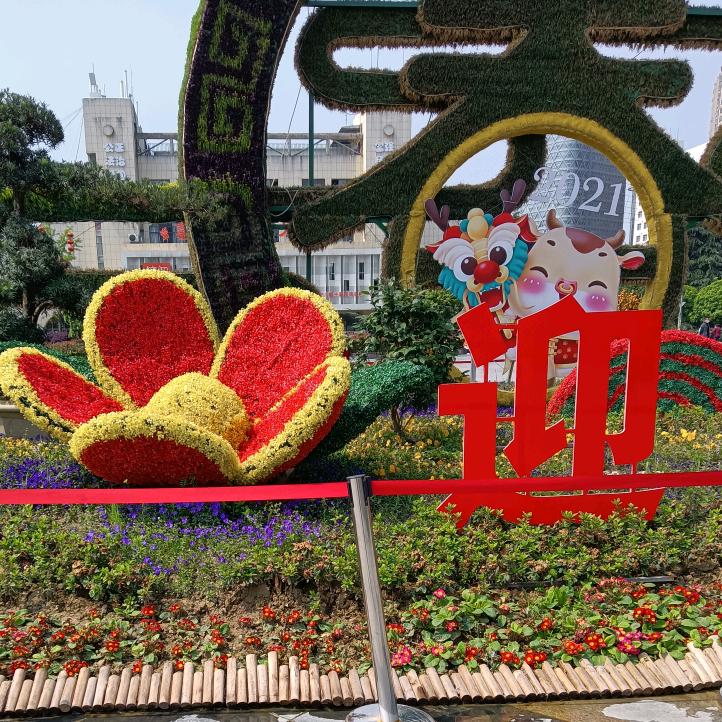 挚悦