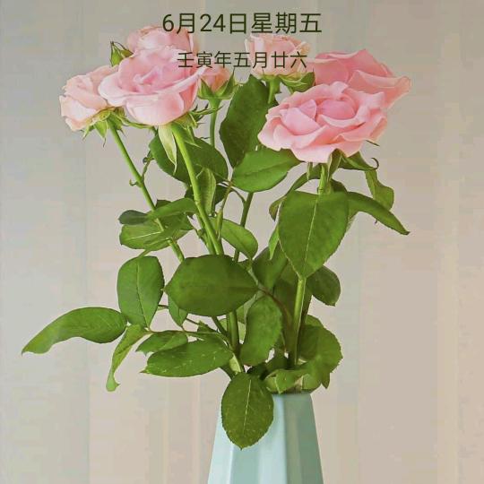 青春微凉的记忆—车