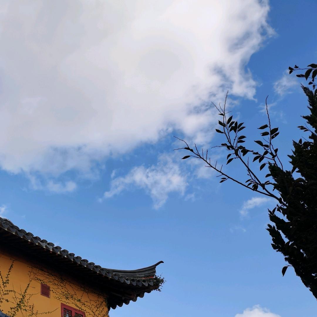小马两颗牙