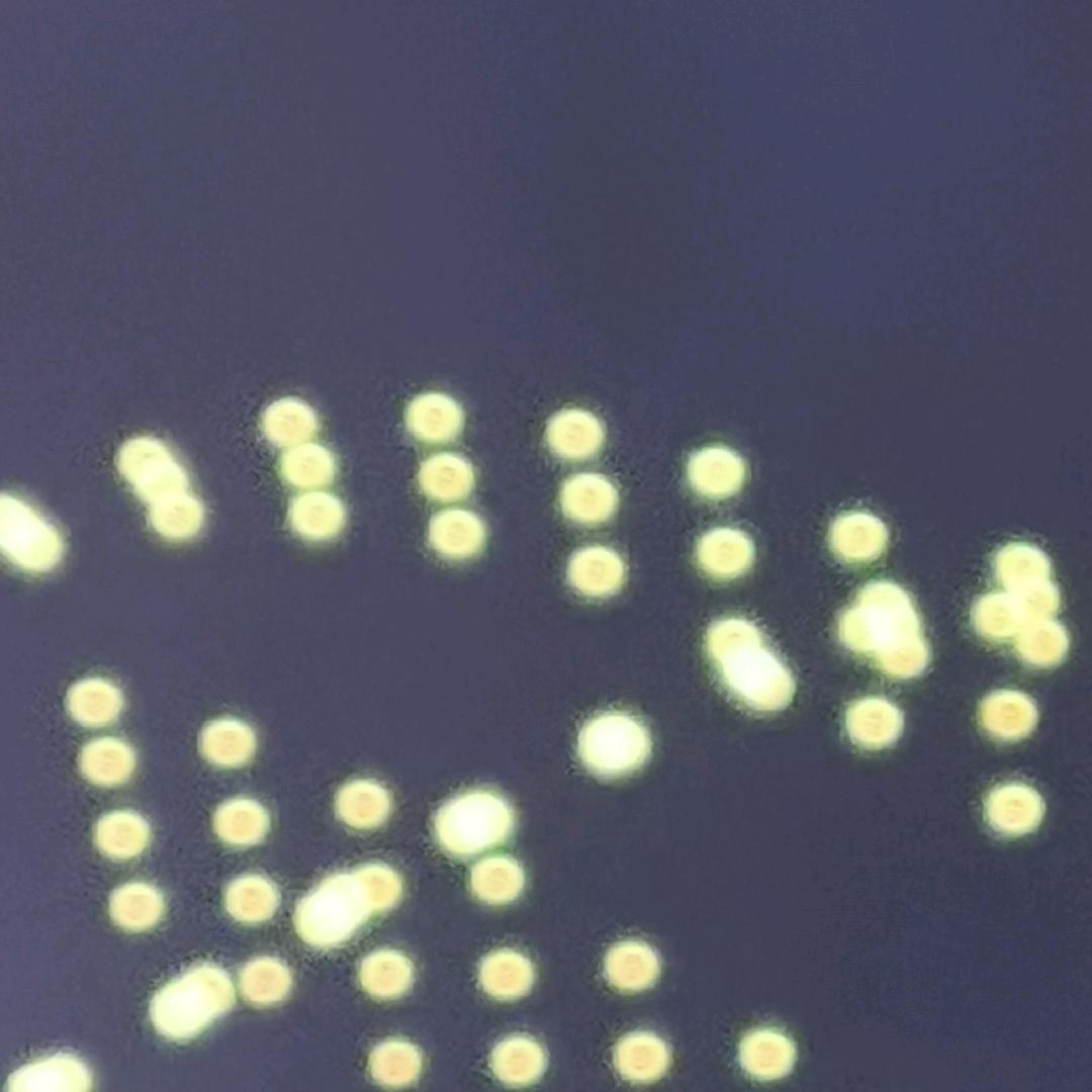 用户6552113476615