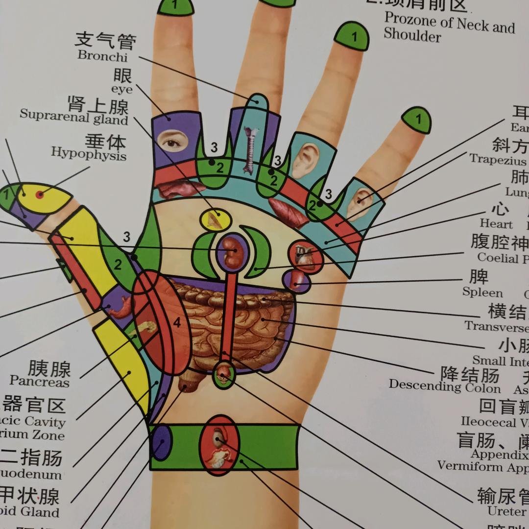往亊氧化