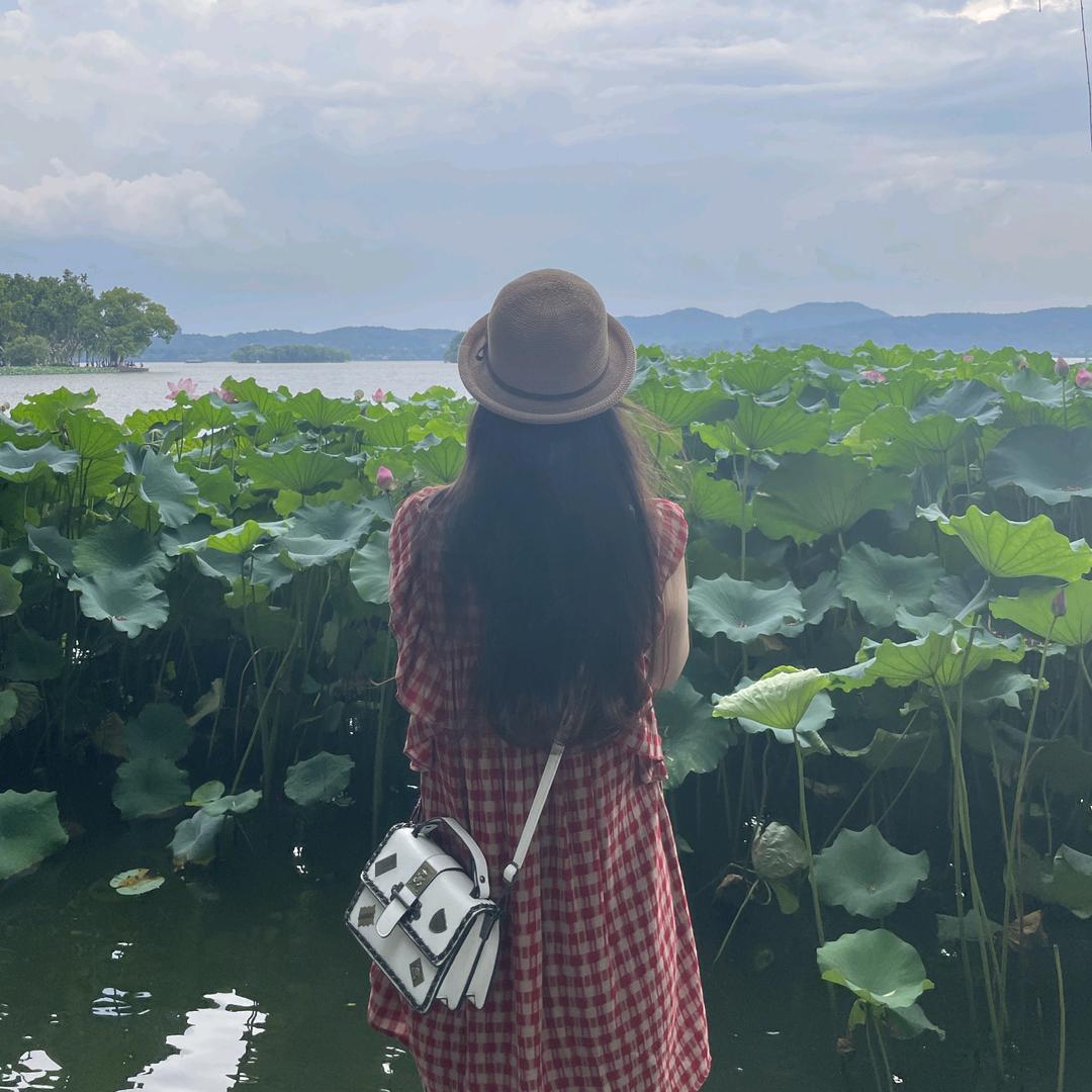 洋葱头